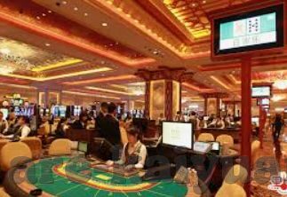 森林舞会3d下载-探索森林舞会3D，沉浸式体验与下载指南