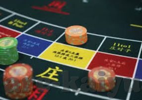 世界杯塞黑一荷兰下半场-世界杯赛场上的逆转传奇，塞黑对战荷兰下半场