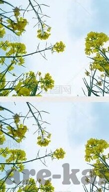 足球比分7m即时比分-足球比分7m即时比分，绿茵场上的数字脉搏